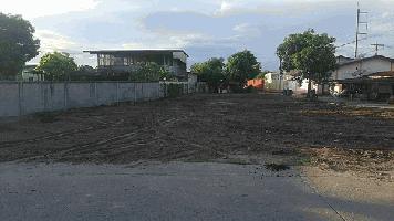 ขายที่ดิน 198 ตร.ว. ทำเลทอง ในแหล่งชุมชน ติดถนน อ.พานทอง จ.ชลบุรี โทร 0953157555